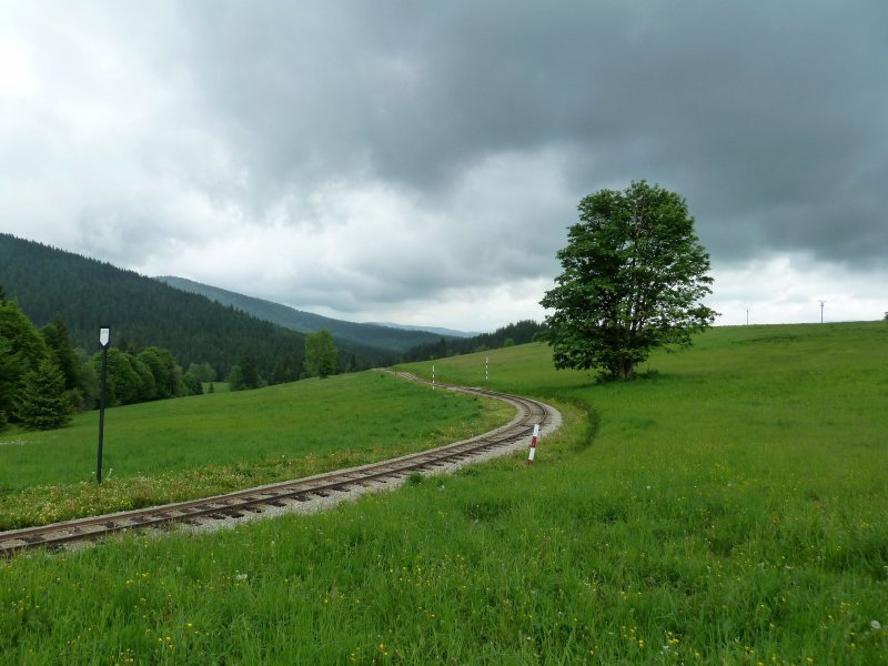 2013